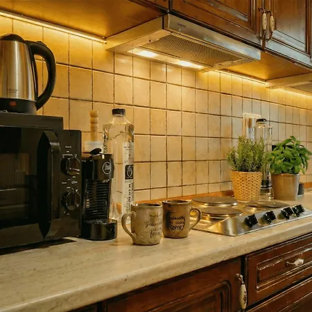 Premium Design With Private Balcony * Temešvár