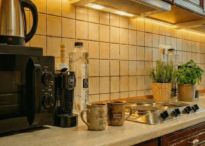 Premium Design With Private Balcony * Temešvár